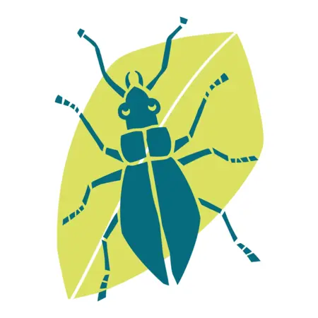 Le Carabe (Ferme agroécologique)
